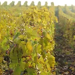 Champagne Gilmaire-etienne Bed & Breakfast 3*