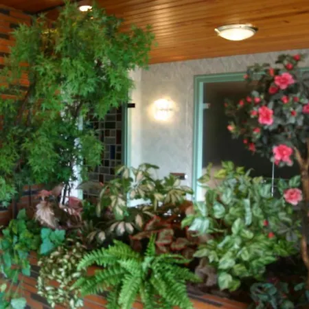 Champagne Gilmaire-etienne