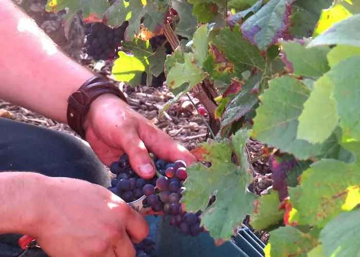 Bed & Breakfast Champagne Gilmaire-etienne