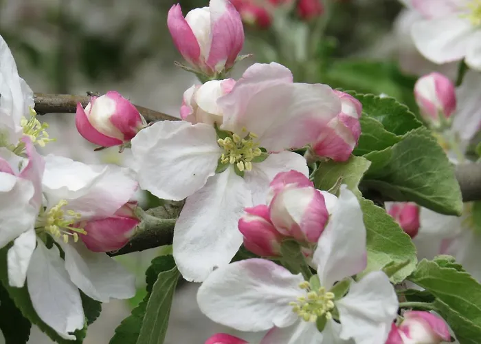 Bed & Breakfast Champagne Gilmaire-etienne