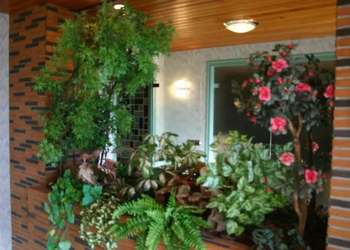 Champagne Gilmaire-etienne