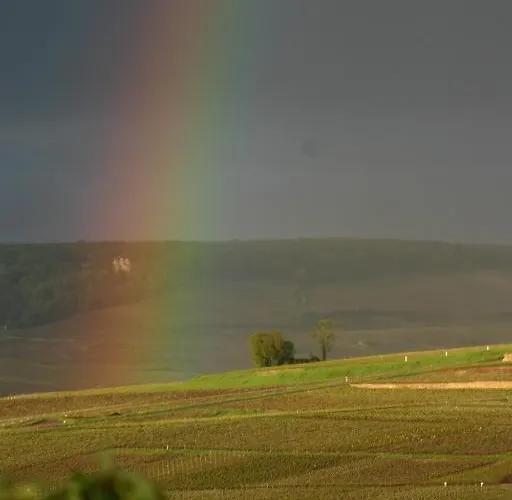 Bed & Breakfast Champagne Gilmaire-etienne Binson-et-Orquigny