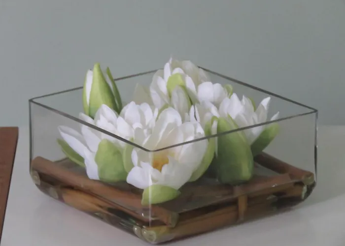 Champagne Gilmaire-etienne Bed & Breakfast